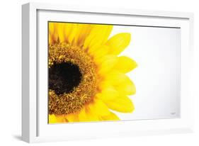 Sunflower Close-up-Donnie Quillen-Framed Art Print