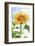 Sunflower, Community Garden, Moses Lake, Wa, USA-Stuart Westmorland-Framed Photographic Print