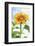 Sunflower, Community Garden, Moses Lake, Wa, USA-Stuart Westmorland-Framed Photographic Print