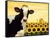 Sunflower Cow-Lowell Herrero-Framed Stretched Canvas