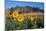 Sunflower field and cottage, San Giovanni d'Asso, Province of Siena, Tuscany, Italy-null-Mounted Art Print