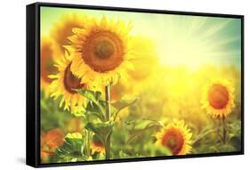 Sunflower Field. Beautiful Sunflowers Blooming on the Field. Growing Yellow Flowers-Subbotina Anna-Framed Stretched Canvas