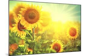 Sunflower Field. Beautiful Sunflowers Blooming on the Field. Growing Yellow Flowers-Subbotina Anna-Mounted Photographic Print