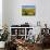 Sunflower Field Near Cordoba, Andalusia, Spain, Europe-Hans Peter Merten-Photographic Print displayed on a wall