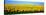 Sunflower Field, North Dakota, USA-null-Stretched Canvas