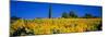 Sunflower Field, Tuscany, Italy, Europe-John Miller-Mounted Photographic Print