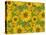 Sunflower Field-Cora Niele-Stretched Canvas