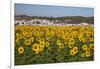 Sunflower Fields near the White Town of Bornos-Julianne Eggers-Framed Photographic Print