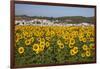 Sunflower Fields near the White Town of Bornos-Julianne Eggers-Framed Photographic Print