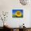 Sunflower Fields, Provence, France-Steve Vidler-Photographic Print displayed on a wall