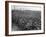 Sunflower Fields-J. Chettlburgh-Framed Photographic Print