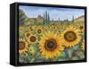 Sunflower Fields-Carissa Luminess-Framed Stretched Canvas