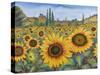 Sunflower Fields-Carissa Luminess-Stretched Canvas