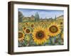 Sunflower Fields-Carissa Luminess-Framed Giclee Print