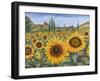 Sunflower Fields-Carissa Luminess-Framed Giclee Print