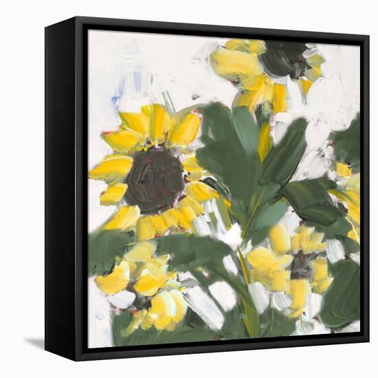 Sunflower Garden-Jane Slivka-Framed Stretched Canvas