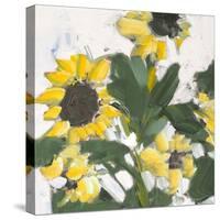 Sunflower Garden-Jane Slivka-Stretched Canvas