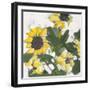 Sunflower Garden-Jane Slivka-Framed Art Print