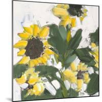 Sunflower Garden-Jane Slivka-Mounted Art Print