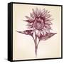 Sunflower Hand Drawn Vector Llustration Realistic Sketch-VladisChern-Framed Stretched Canvas