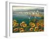 Sunflower Harbor-Lawson-Framed Art Print