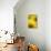 Sunflower, Helianthus Annuus, Blossom, Close-Up-Andreas Keil-Stretched Canvas displayed on a wall