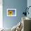 Sunflower, Helianthus Spec. Bielefeld, NRW, Germany-Thorsten Milse-Framed Photographic Print displayed on a wall