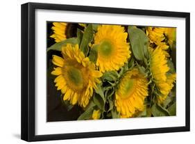 Sunflower I-Maureen Love-Framed Photographic Print