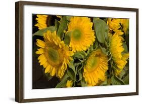 Sunflower I-Maureen Love-Framed Photographic Print