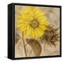 Sunflower I-li bo-Framed Stretched Canvas