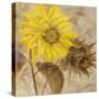 Sunflower I-li bo-Stretched Canvas