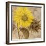 Sunflower I-li bo-Framed Giclee Print