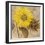 Sunflower I-li bo-Framed Giclee Print