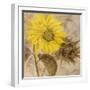 Sunflower I-li bo-Framed Giclee Print