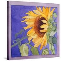 Sunflower I-Sharon Pitts-Stretched Canvas