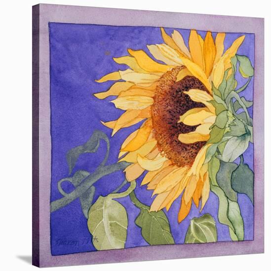 Sunflower I-Sharon Pitts-Stretched Canvas