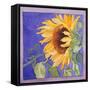 Sunflower I-Sharon Pitts-Framed Stretched Canvas