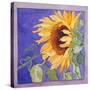 Sunflower I-Sharon Pitts-Stretched Canvas