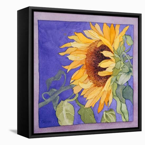 Sunflower I-Sharon Pitts-Framed Stretched Canvas