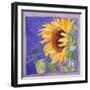 Sunflower I-Sharon Pitts-Framed Giclee Print