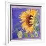 Sunflower I-Sharon Pitts-Framed Giclee Print