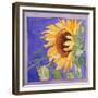 Sunflower I-Sharon Pitts-Framed Giclee Print