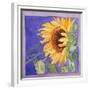 Sunflower I-Sharon Pitts-Framed Giclee Print