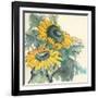Sunflower I-Chris Paschke-Framed Art Print