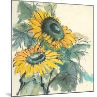 Sunflower I-Chris Paschke-Mounted Art Print