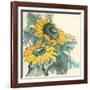 Sunflower I-Chris Paschke-Framed Art Print