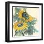 Sunflower I-Chris Paschke-Framed Art Print