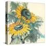 Sunflower I-Chris Paschke-Stretched Canvas