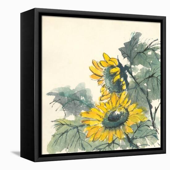 Sunflower II-Chris Paschke-Framed Stretched Canvas