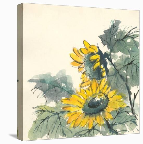 Sunflower II-Chris Paschke-Stretched Canvas